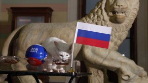 Оракулът Ахил ще помага с прогнозите и на Евро 2020