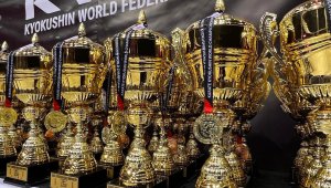 Две титли и 11 медала за България от Световното по киокушин