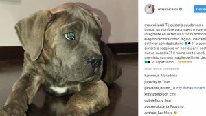 Икарди обеща награда за феновете на Интер 