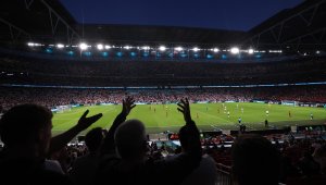 Милиони летящи мравки нападат "Уембли" на финала?