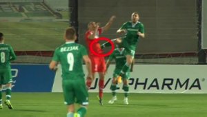 Вижте кунг фу удара на Козмин Моци