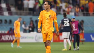 Ван Дайк попиля Марко ван Бастен