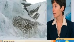 Шансовете на Боян Петров да оцелее са над 50% + ВИДЕО