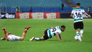 Черно море маха бразилец 