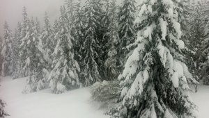 180 спортисти са блокирани в Белмекен