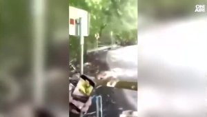 Вижте видео от ужасяващия инцидент на ралито (+18)