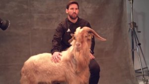 Меси до козела: Не съм най-добрият в света + СНИМКИ