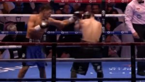 IBF: Бивол трябва да преговаря с Айферт &ndash; трилогията с Бетербиев под въпрос