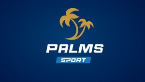 Задава се нов подкаст на хоризонта &ndash; Palms Sport с водещ Ники Михайлов