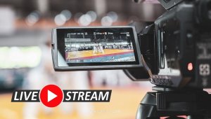 Гледайте на живо Световна купа Варна 2024