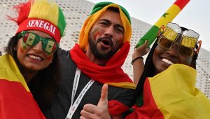 Вижте фенките на Сенегал и Нидерландия