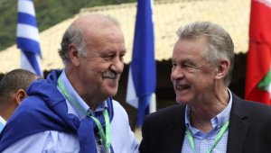 Отмар Хитцфелд: Боли ме за Дел Боске