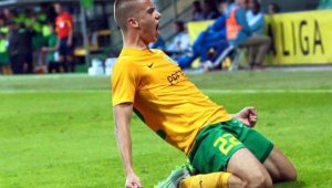 Халф на Жилина стана "жребче"