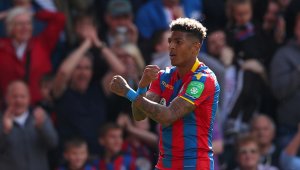 Юве набеляза Ван Аанхолт