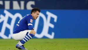 Наздраве и довиждане: Коноплянка се оказа пиянка