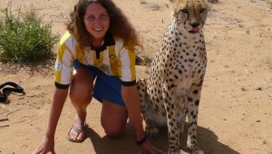 ПРОГНОЗА: Борусия Дортмунд - Зенит