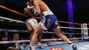 И професионалистите ще се боксират в Рио