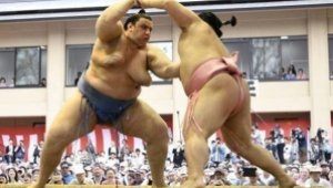 Аоияма приключи със загуба турнира в Осака