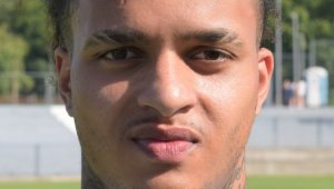 Португалско крило отлетя от Дунав