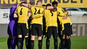 Ботев Пловдив набеляза ас на Пирин