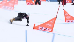 Дарио Кавицел спечели паралелния гигантски слалом в Банско