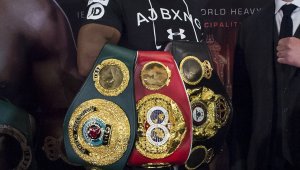 Ще се лее кръв: За кои колани е боят между Кобрата и Джошуа? + СНИМКИ