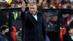 Куман отново поема "лалетата"