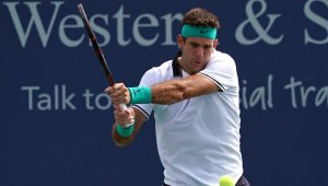 Дел Потро се класира за третия кръг в Синсинати 