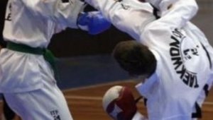 България спечели 25 медала на европейското първенство по таекуондо