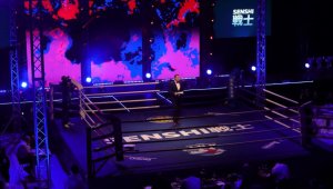 SENSHI 6 идва на 21 август с 10 двубоя между шампиони от 8 страни