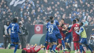 Мечката от Левски е на тръни