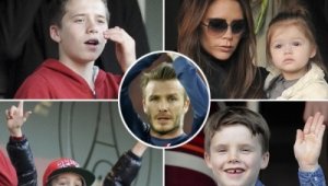 Звездни семейства