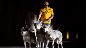 Коста за представянето си с истински вълци: Бях уплашен до смърт!