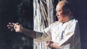 Признание след 100 боя: Какво е Хякунин кумите в Киокушин карате?