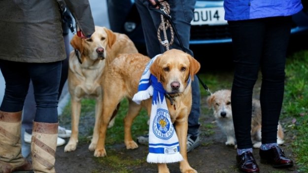 След подвига на Лестър: Вярвате ли в чудеса?