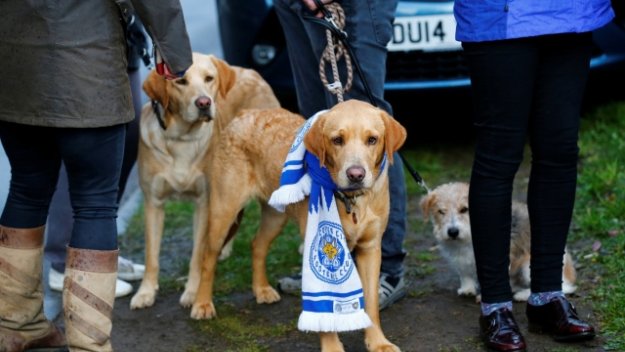 ОЛЕстър - "Творци на история"