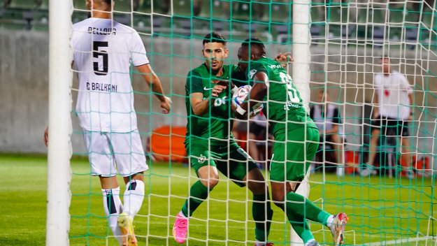 Лудогорец си спомни за големите европейски вечери! "Орлите" прегазиха Балкани