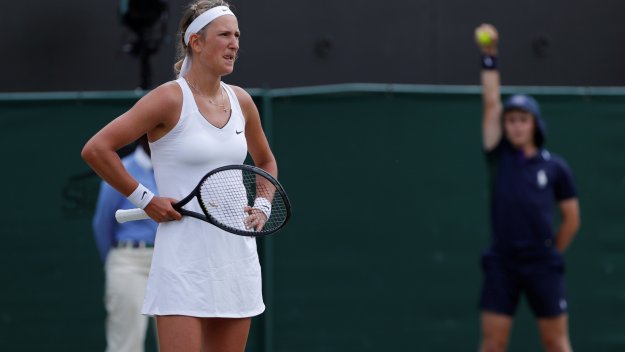 Азаренка пропуска US Open заради дело за попечителство