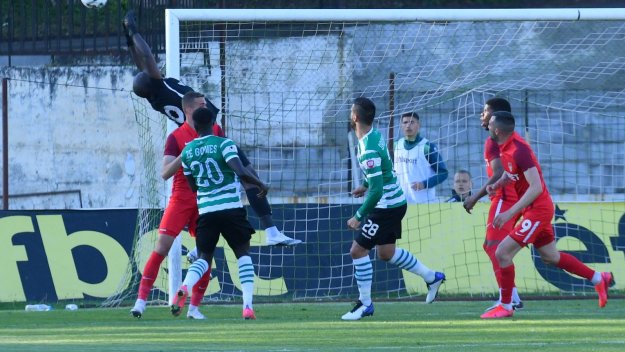 Царско село - Черно море