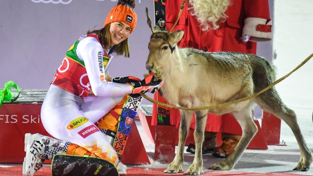 Спортът по телевизията днес, 4 декември