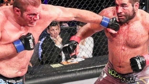 Страхотна новина! Багата с нов договор в UFC